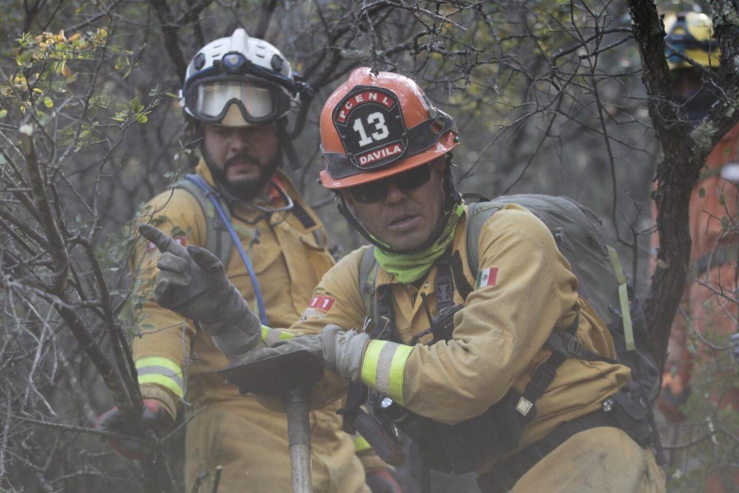 incendios forestales