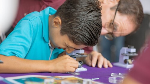 hay clases manana lunes 12 de mayo de 2025 calendario sep.jpg