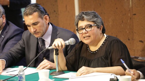 Raquel Buenrostro