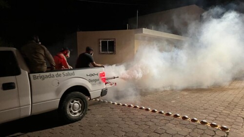 dengue