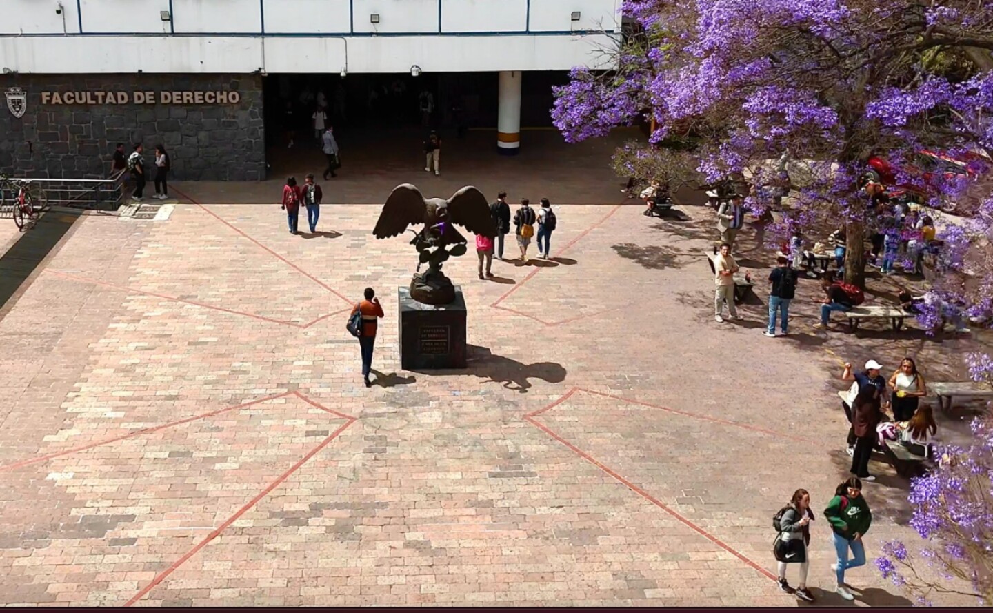 unam-marcha-reforma-judicial