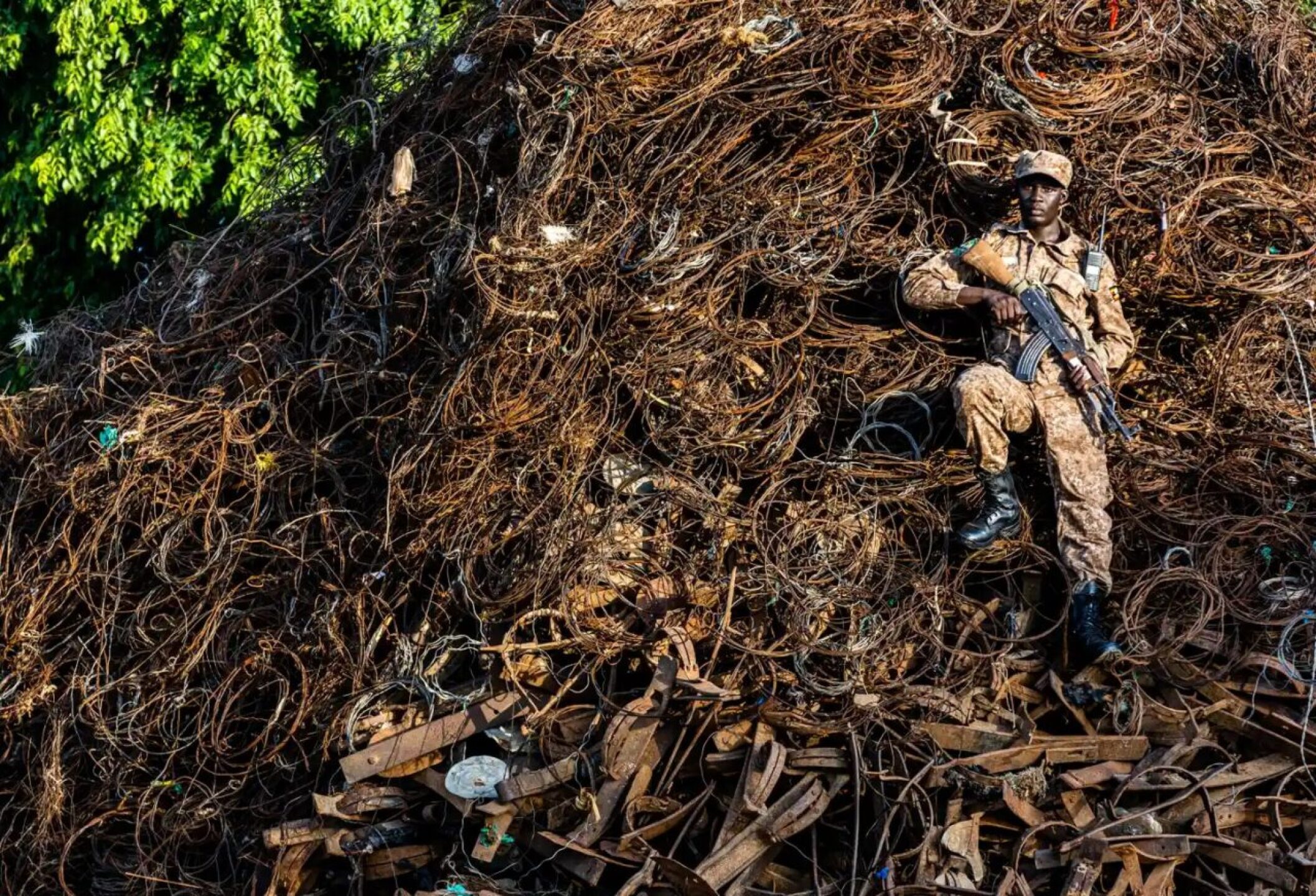 los-animales-son-vendidos-a-redes-delictivas-que-comercian-con-carne-de-animales-salvajes-1280x872