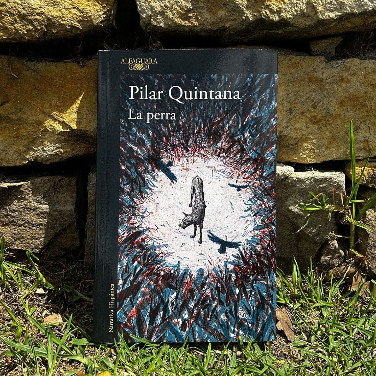 391694648_18393845923014481_8105625218268286558_n