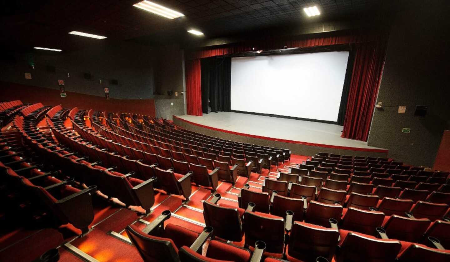 WhatsApp Image 2025-09-17 at 8.45.02 PM.jpeg