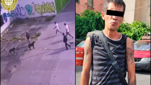 detenido-cdmx-perro-asesinado-asalto