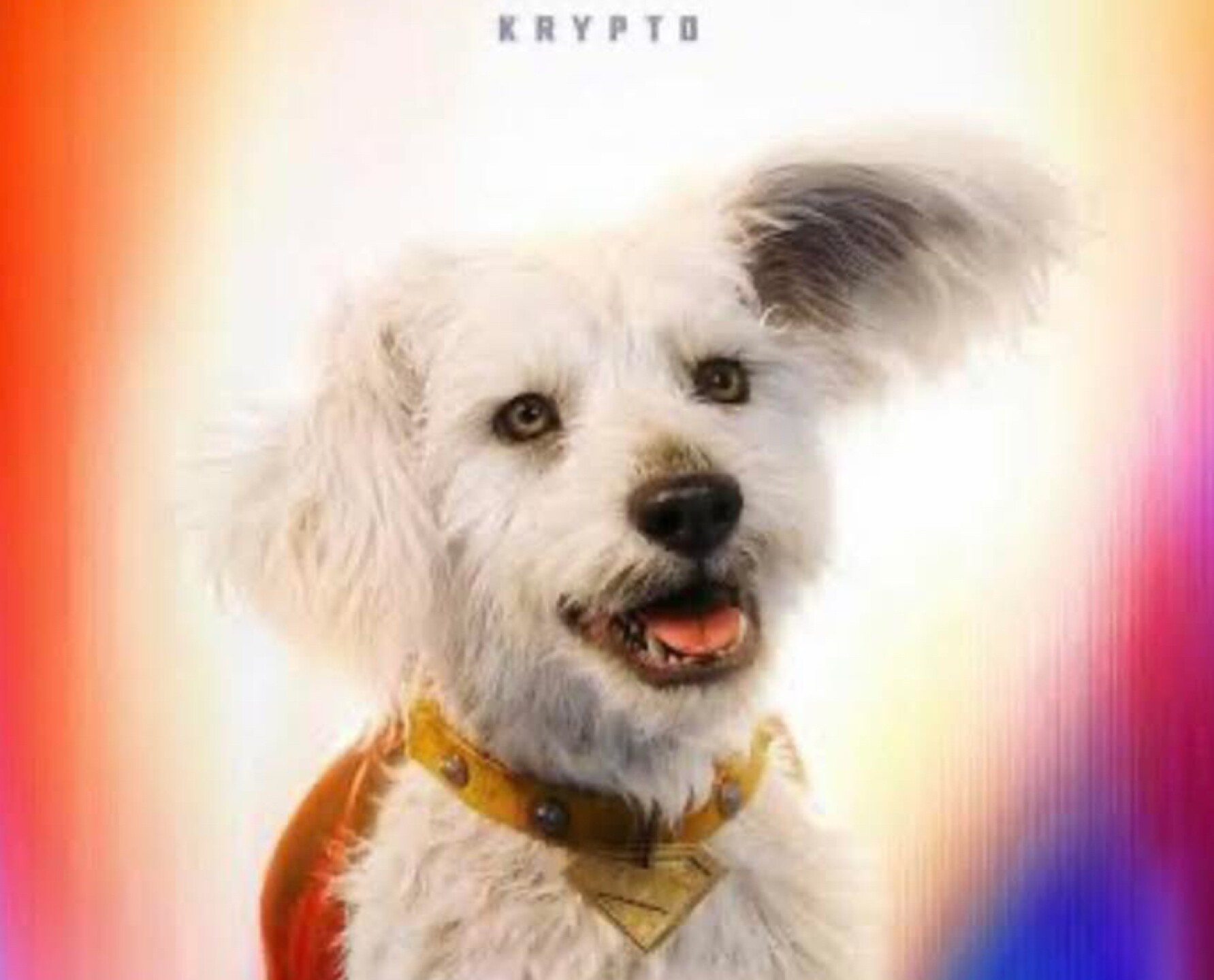 Kripto supermán