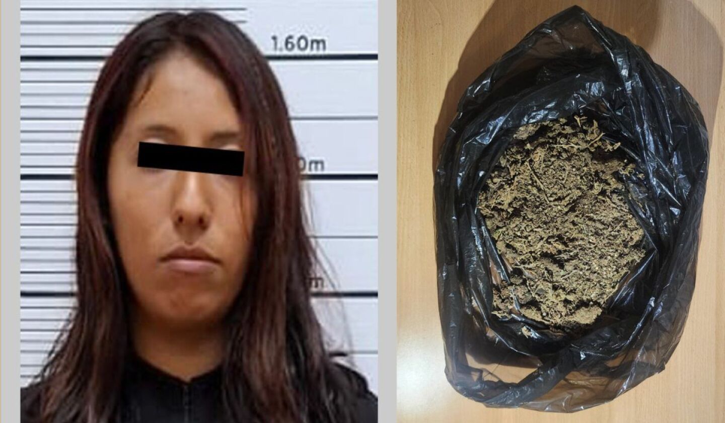 Janet 'N', presunta pareja del 'El Fresa'.jpg