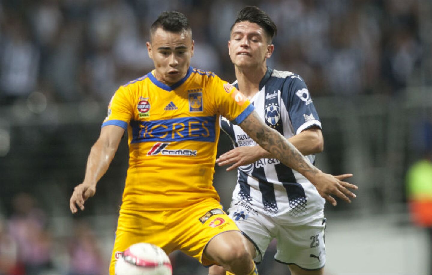 final tigres rayados tv abierta