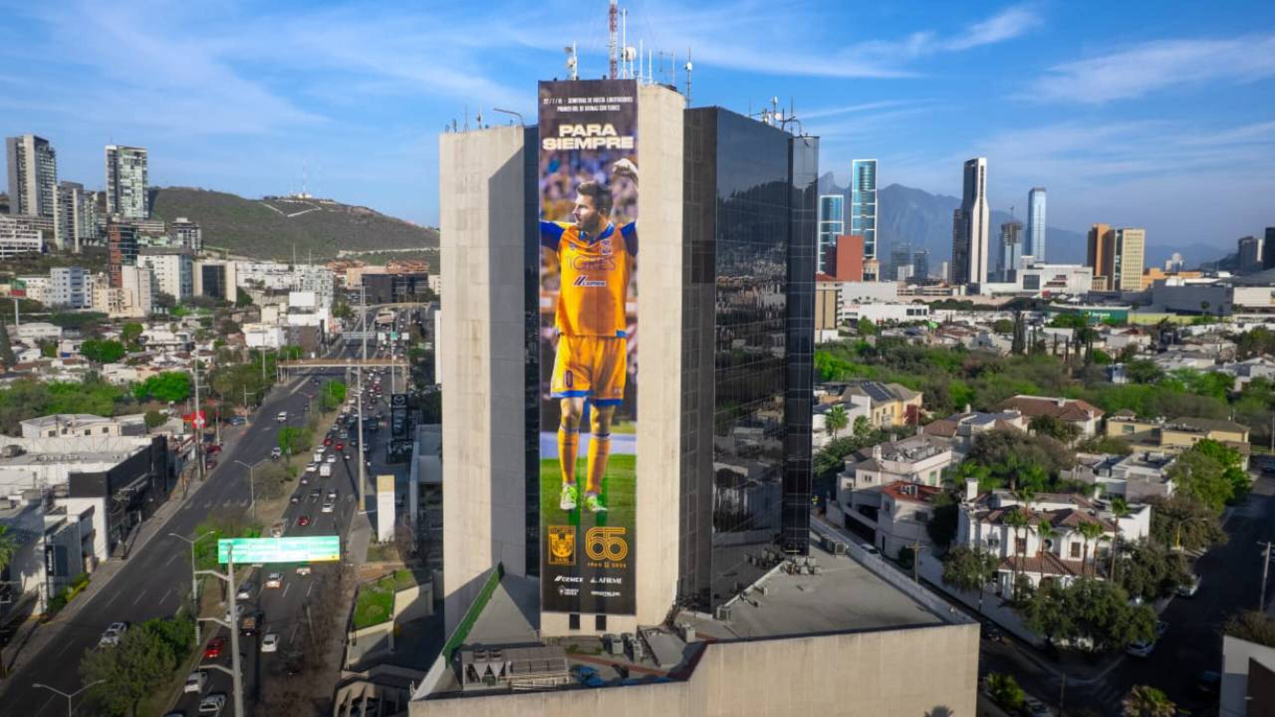tigres 65 anos de una pasion(1).jpg