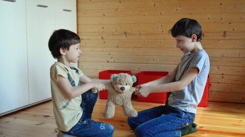 do-not-share-a-toy-gf37abbdee_1280