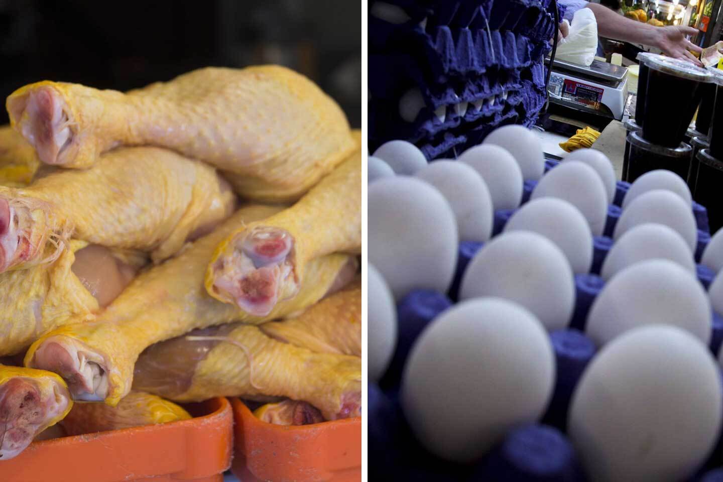 Influenza aviar en México: ¿Consumir pollo o huevo representa peligro?