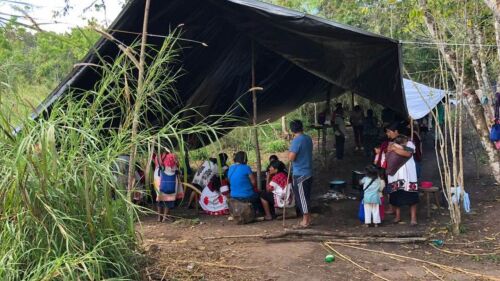 desplazamiento forzado