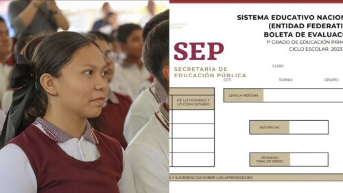 boleta calificaciones sep paso a paso descargar.jpg