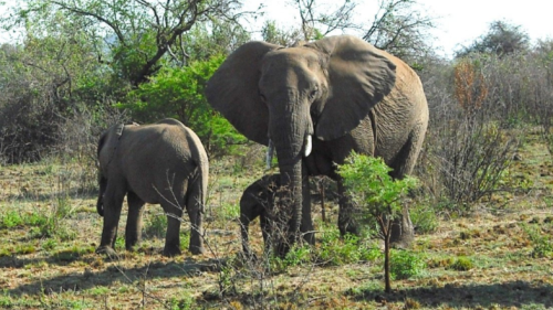 Captura de pantalla 2017-05-09 a la(s) 15.05.11
