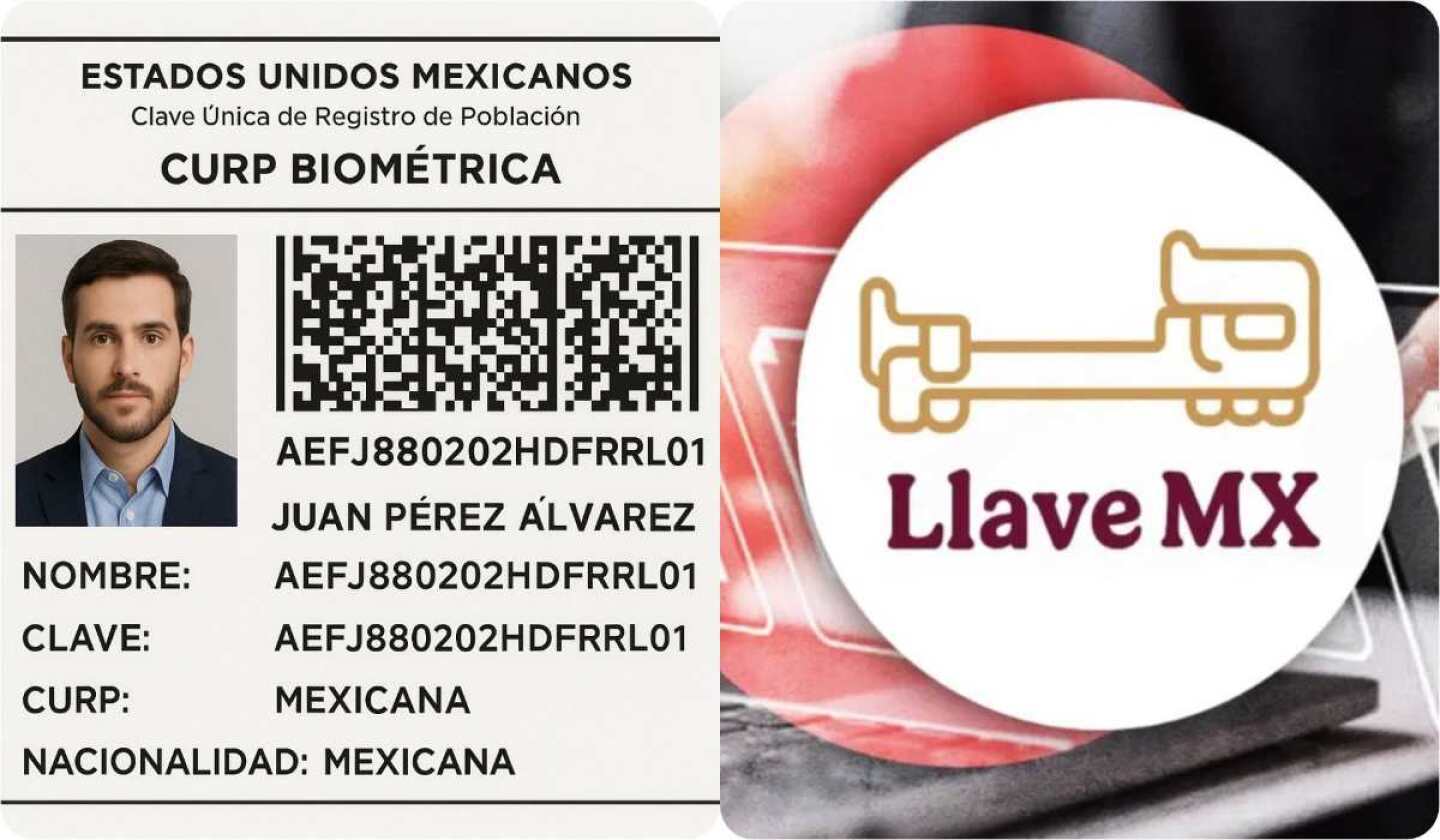 curp-biometrica-llame-mx-diferencias.jpg
