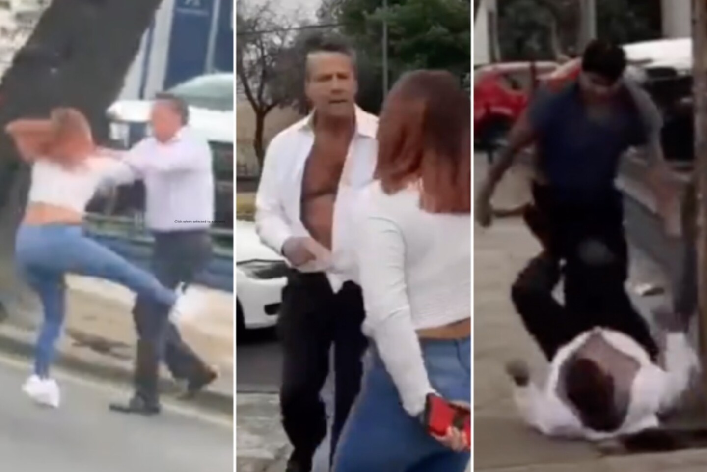 alfredo-adame-pelea