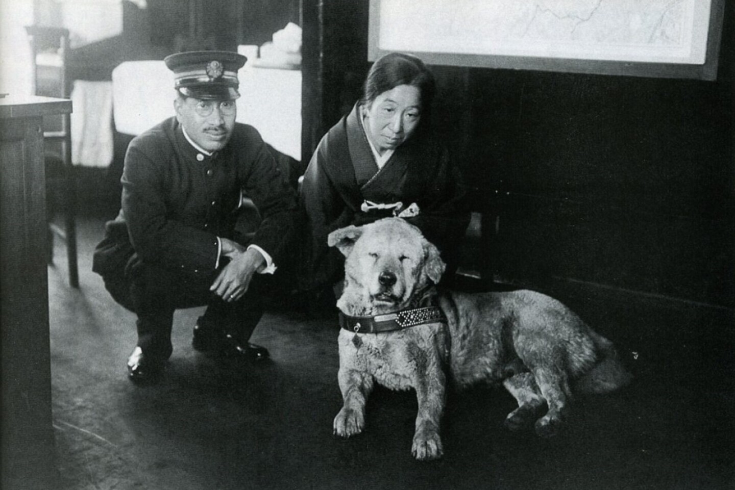 hachiko