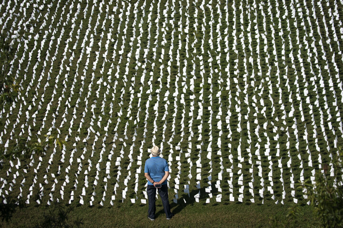 Over 650,000 White Flags Planted On National Mall To Honor American Covid Deaths