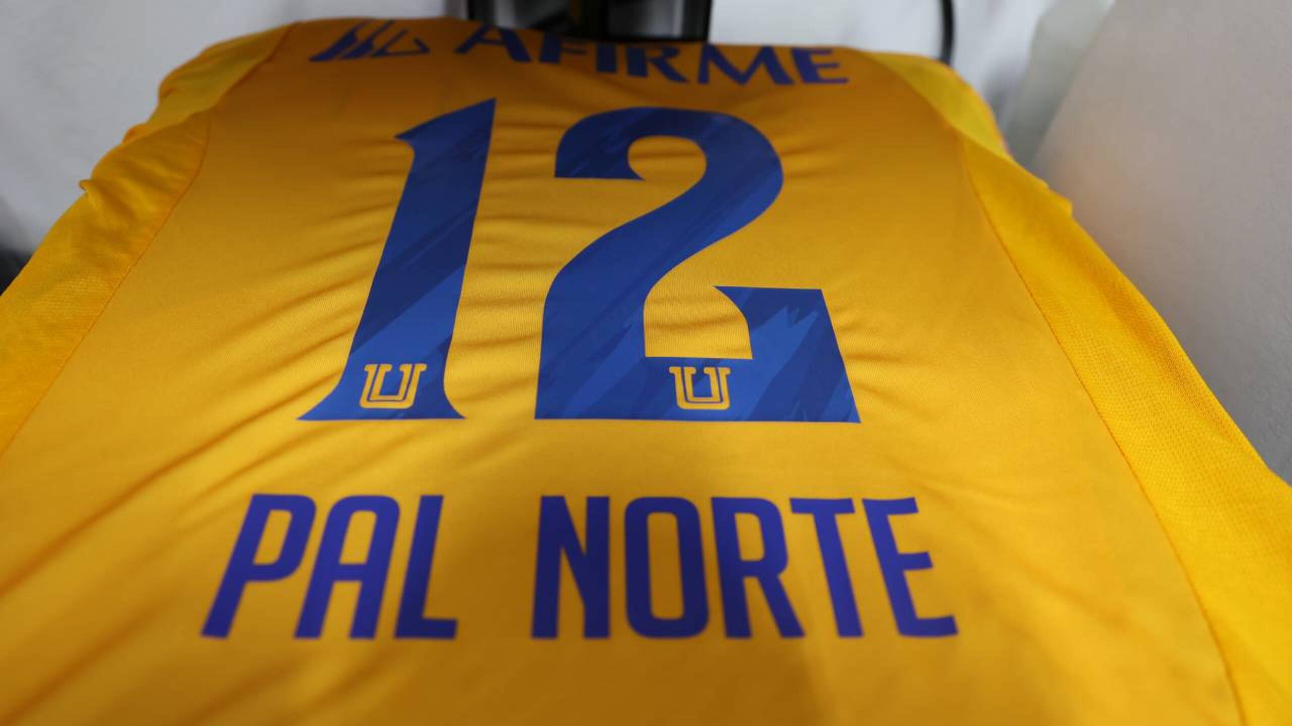 tigres pal norte(4).jpg