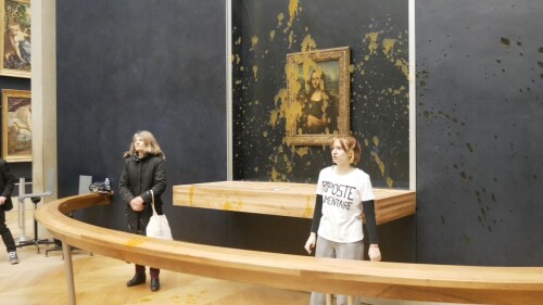 mona_lisa_sopa_leonardo_da_vinci_louvre_activistas