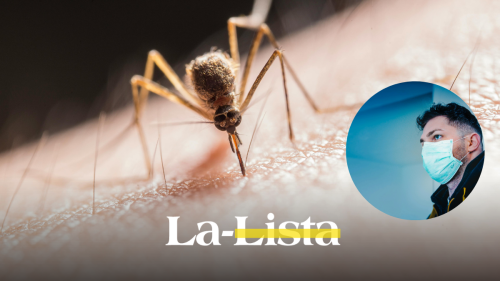 chikungunya-el-virus-que-propagan-mosquitos-por-toda-china-y-que-autoridades-combaten-con-drones-que-es-sintomas-y-tratamiento.png