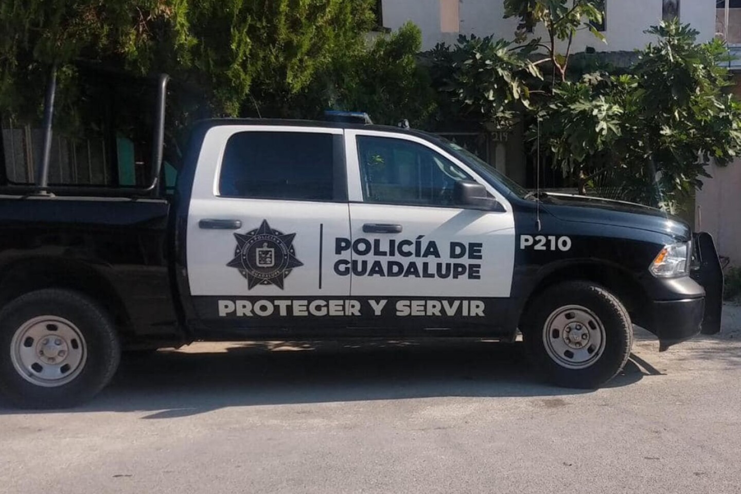 balacera cañada blanca guadalupe