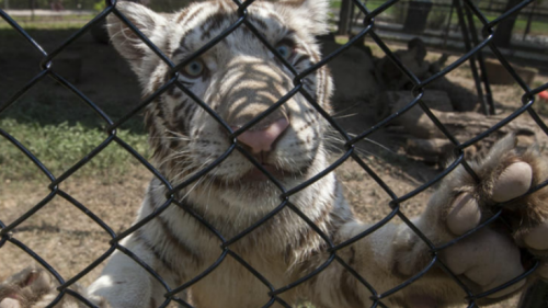 Captura de pantalla 2017-08-14 a las 10.53.55 p.m.