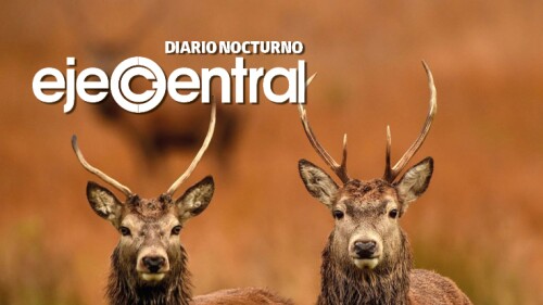 Promo_604_La evolución puede estar ocurriendo hasta 4 veces más rápido de lo que pensábamos