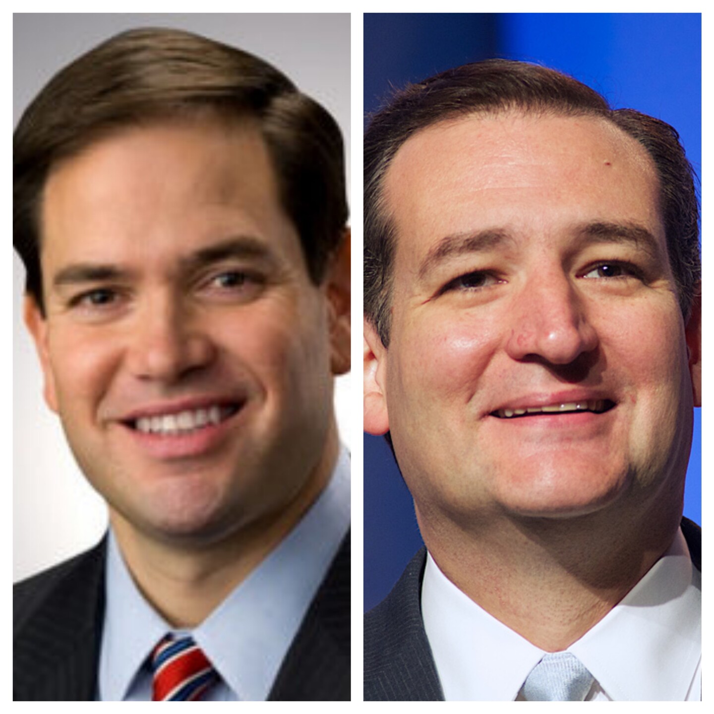 tedcruz_Fotor_Collage