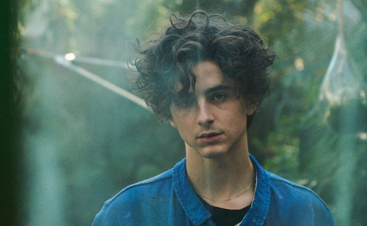bob_dylan_timothee_chalamet_