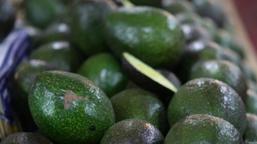 aguacate-michoacan-estados-unidos-2