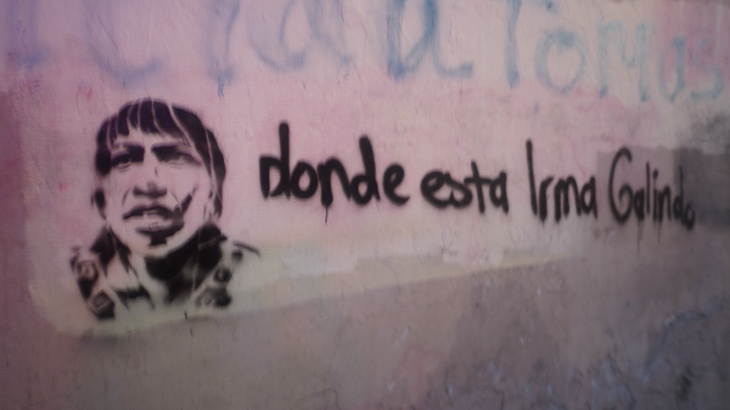 irma-galindo-busqueda