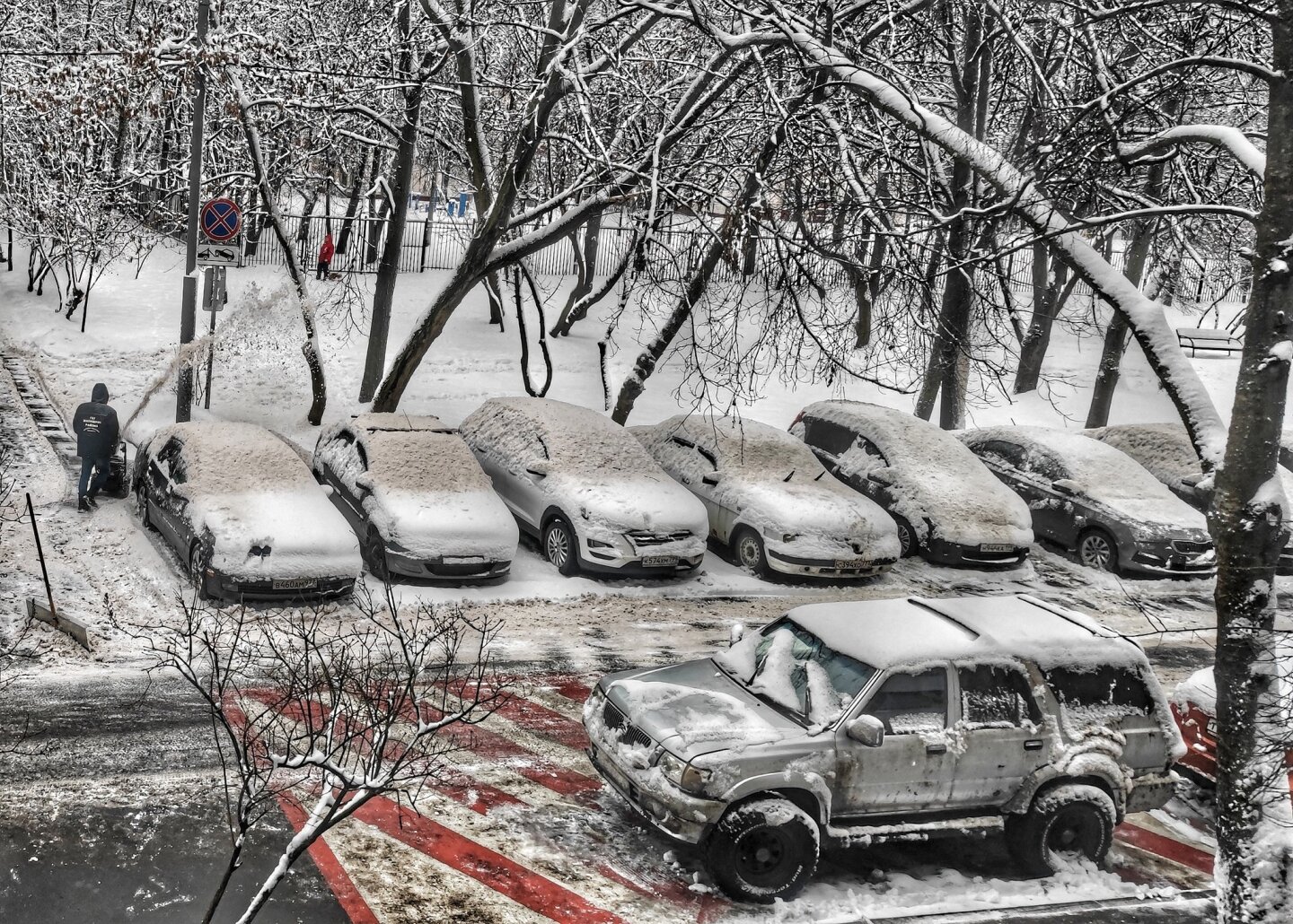 nieve