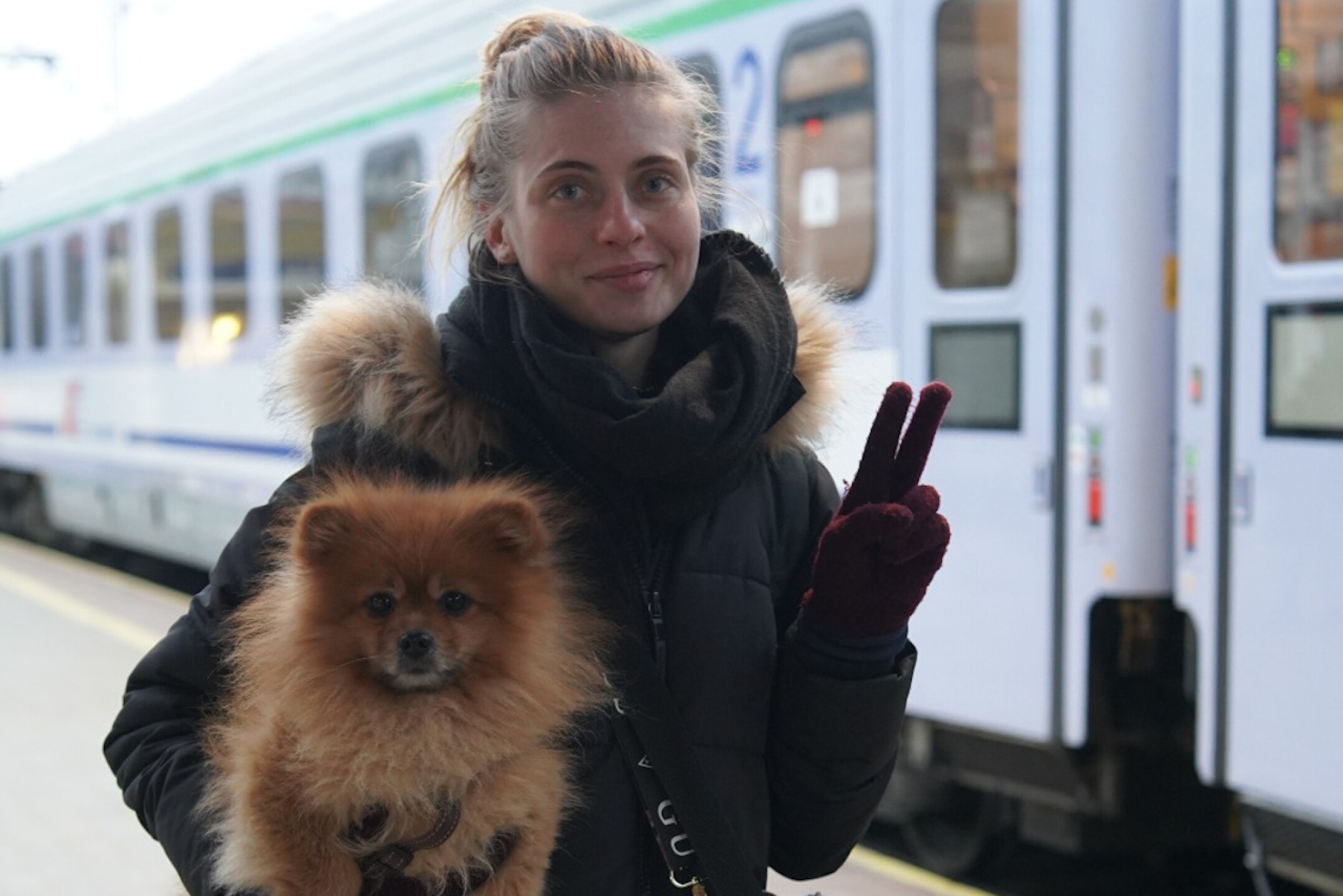 Ucrania-mascotas-Rusia-1