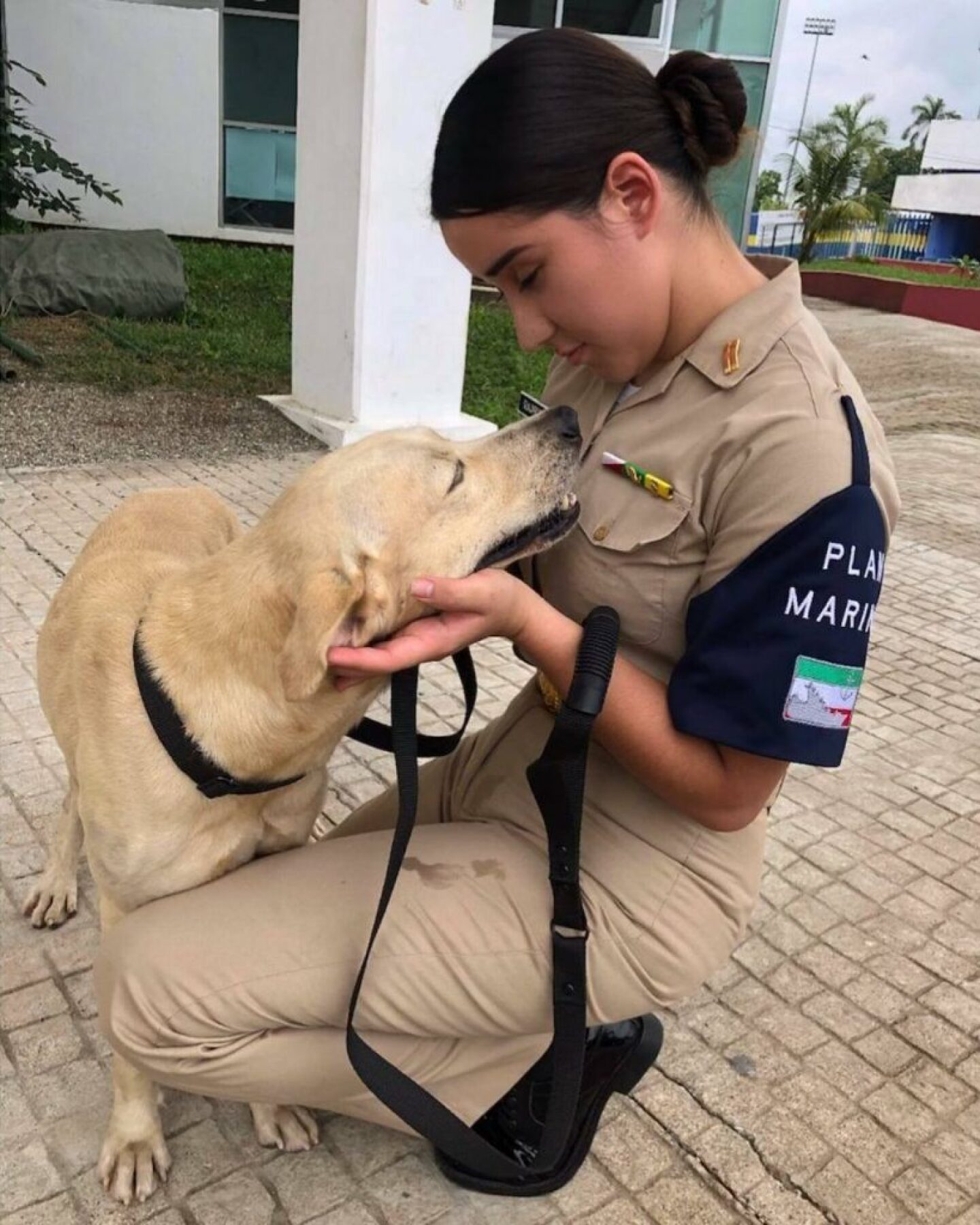 Marina adopta a perro rescatado en inundaciones en Tabasco