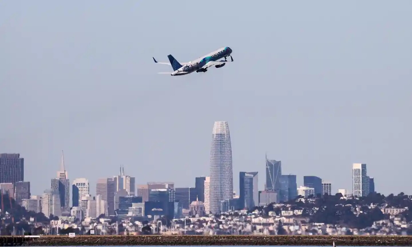 piloto_adopta_perro_abandonado_aeropuerto_san_francisco_united_airlines
