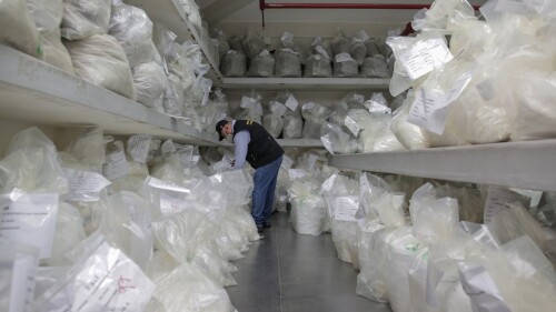 PERU-DRUGS-INCINERATION