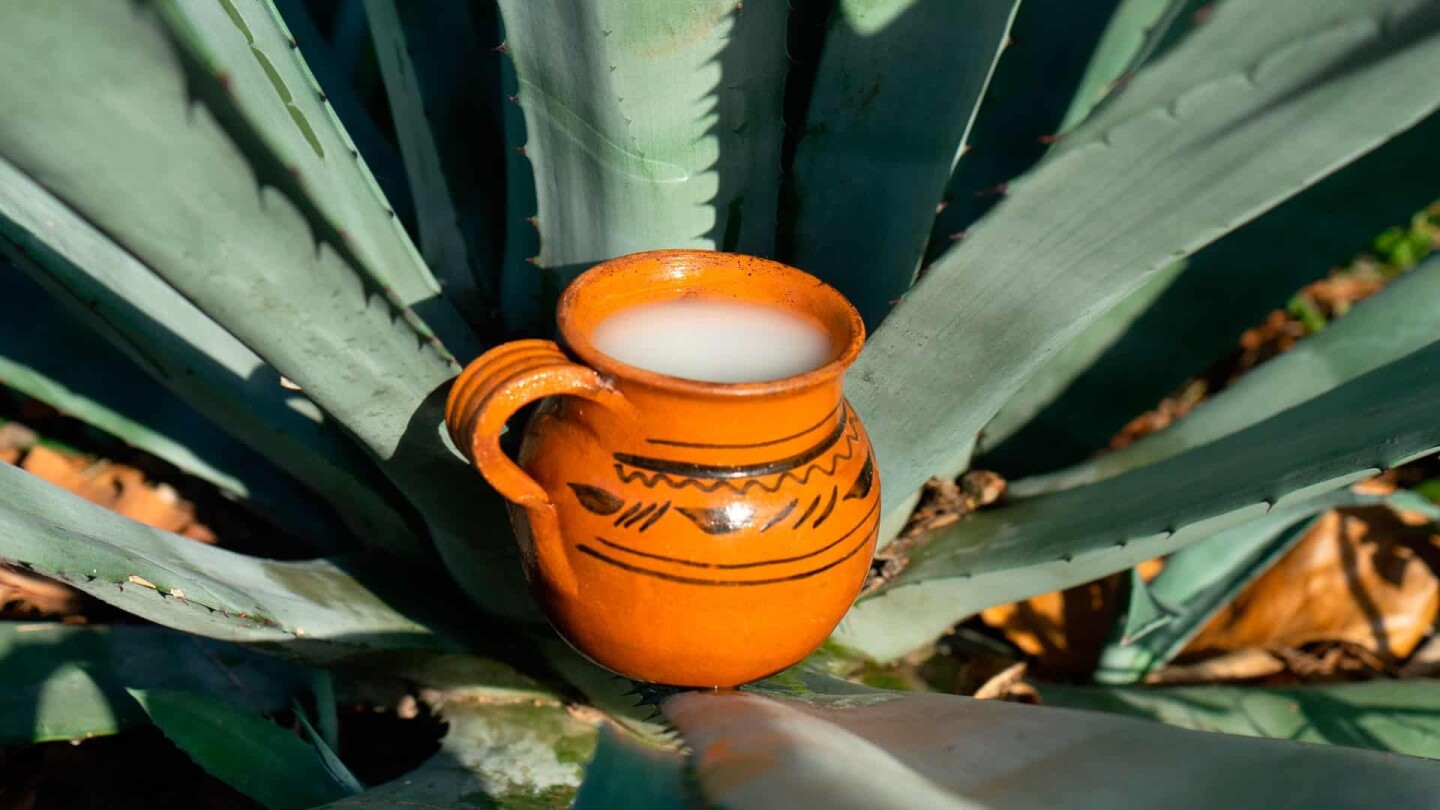 feria-del-pulque-atizapan-de-zaragoza-2025.jpg