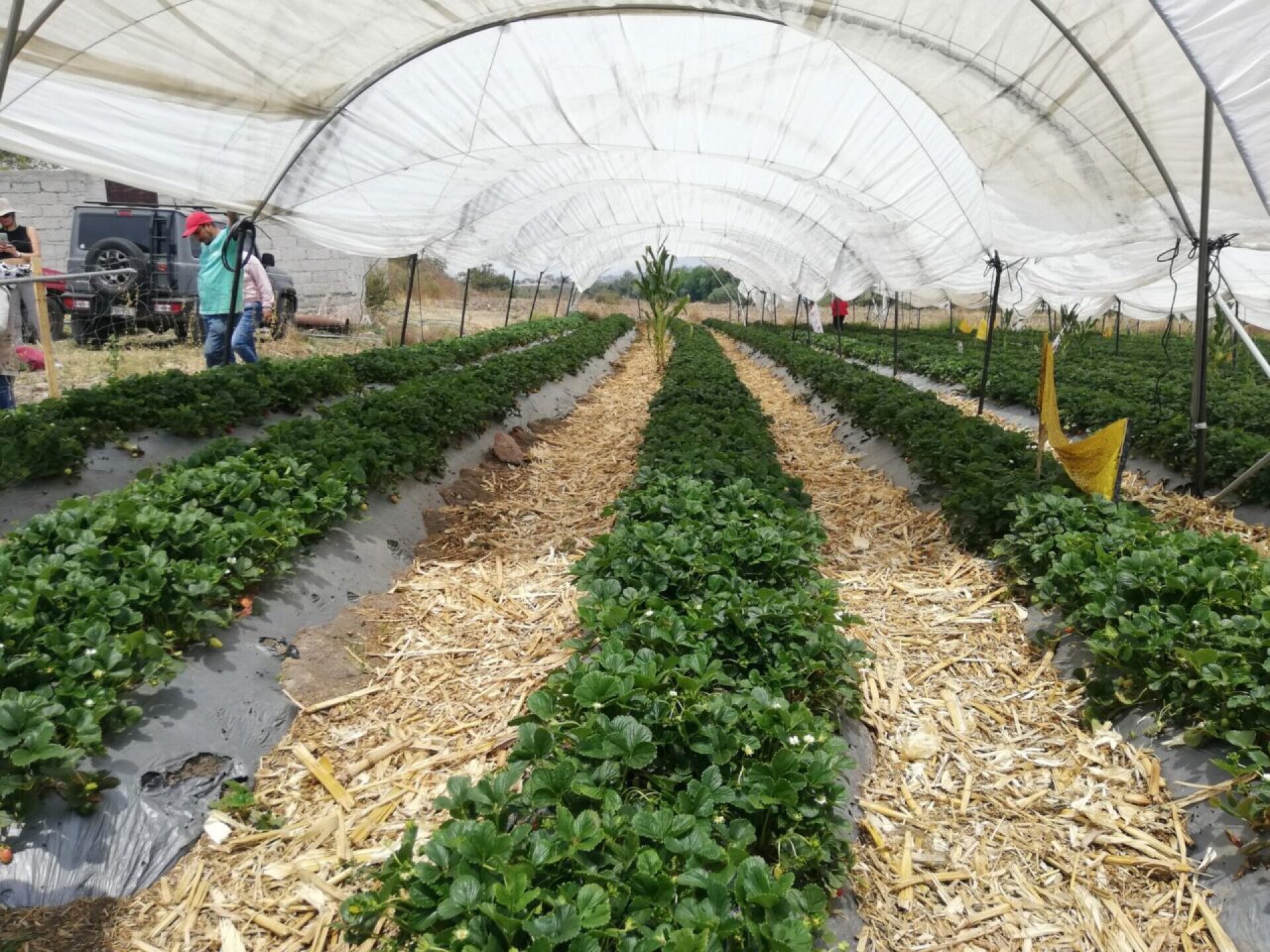 IMG_20230503_113704-1280x960