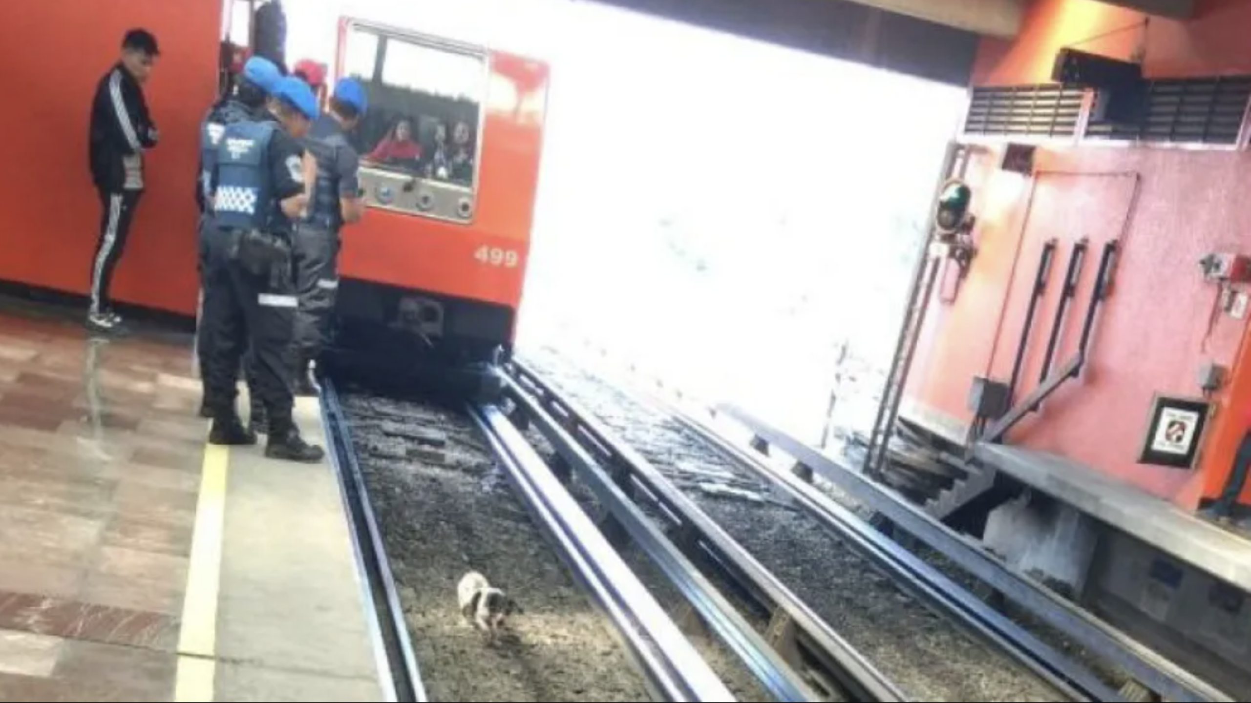 METRO CDMX.png