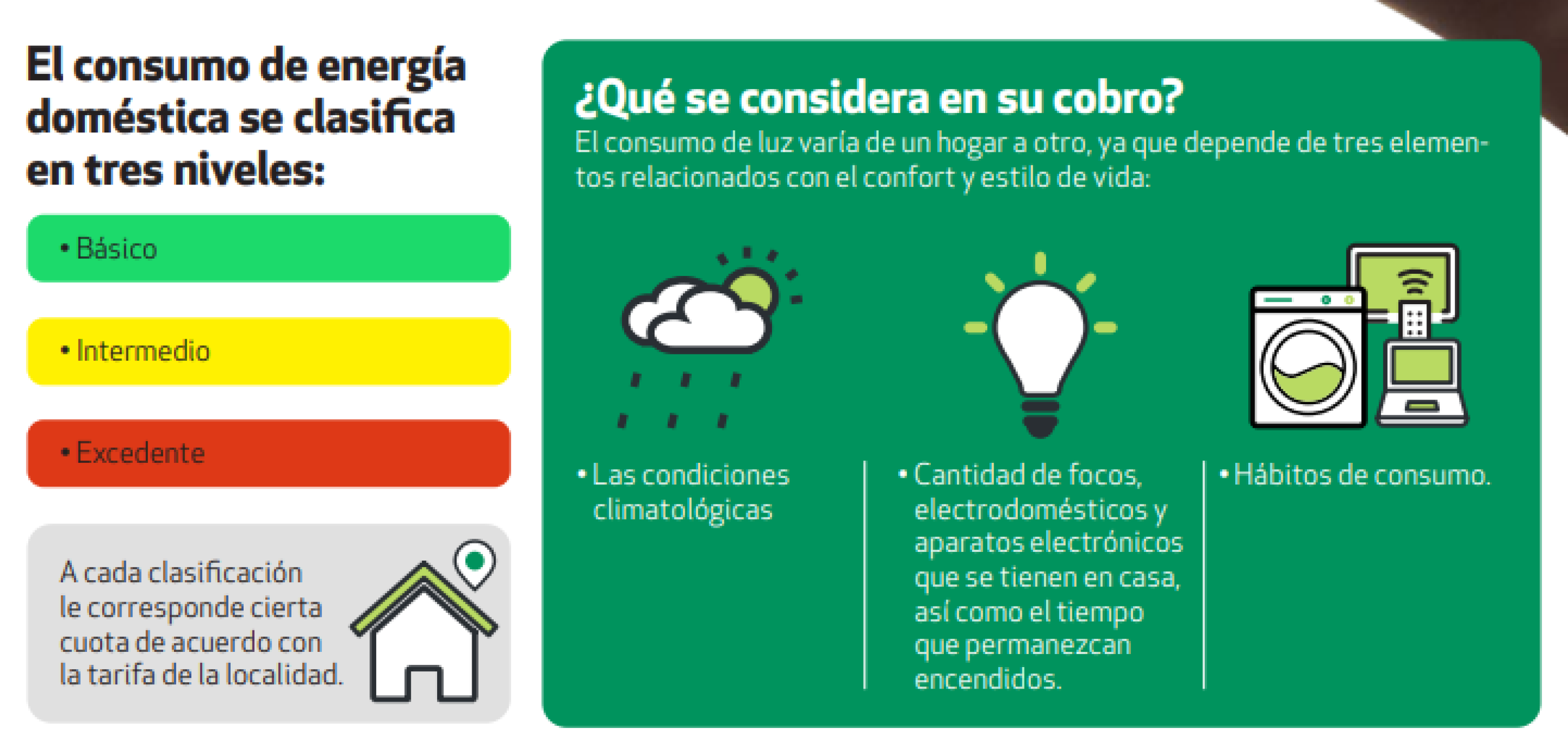 pago-de-la-luz