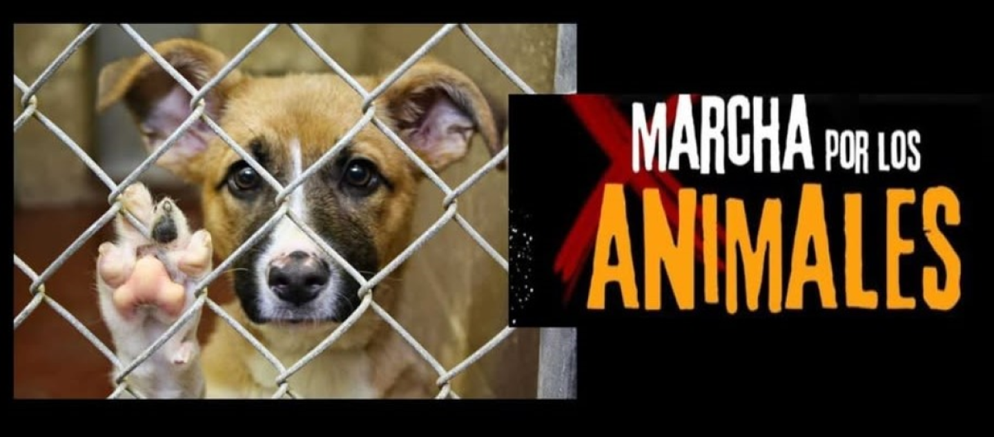 Marcha a favor de los animales.png