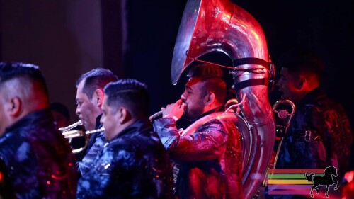 feria-del-caballo-2024-todos-los-horarios