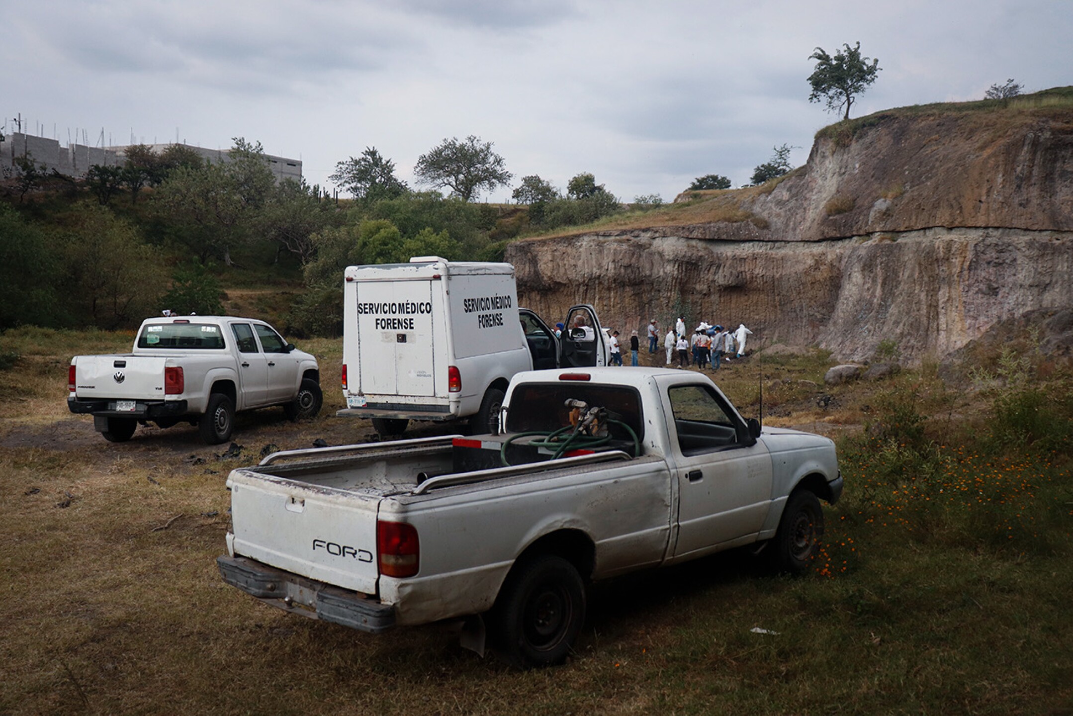 93D1E9D1-D2C6-4FBE-83CB-59DAA383BF11