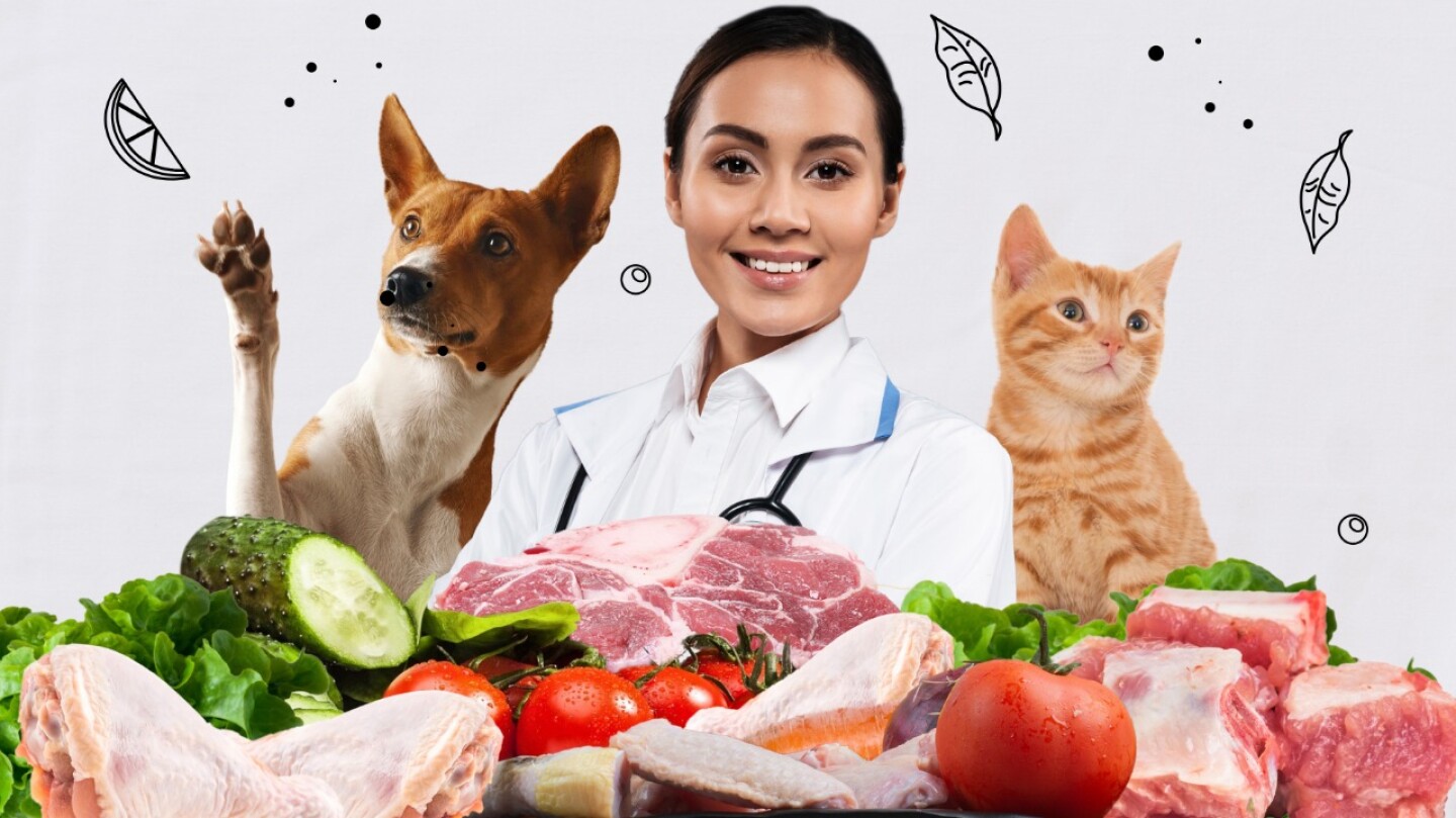 dia del nutriologo los perros no deben comer croquetas