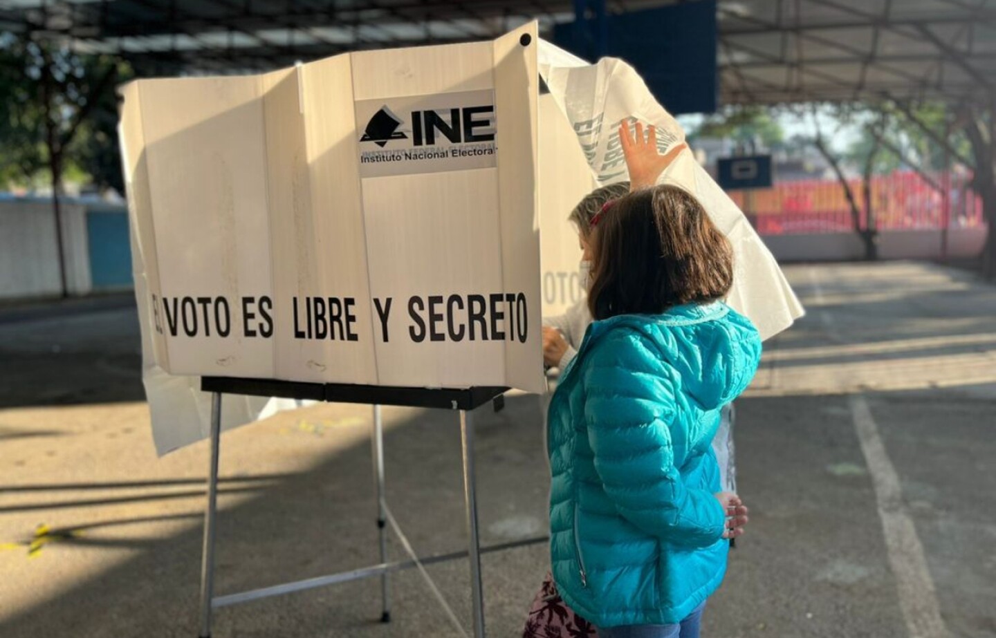 como-saber-cual-es-mi-casilla