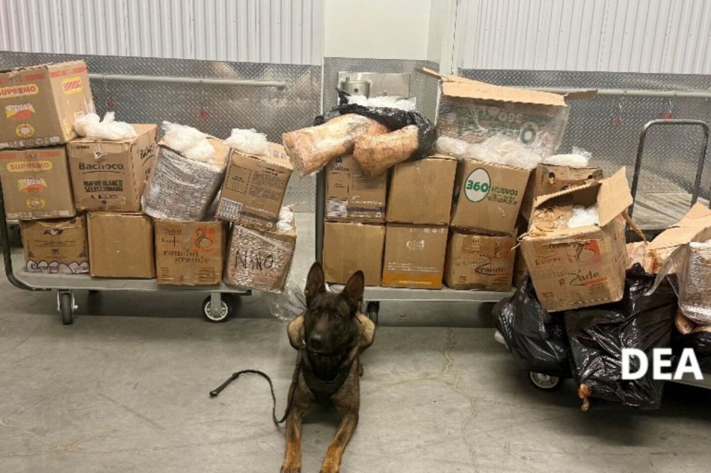 DEA metanfetaminas california estados unidos