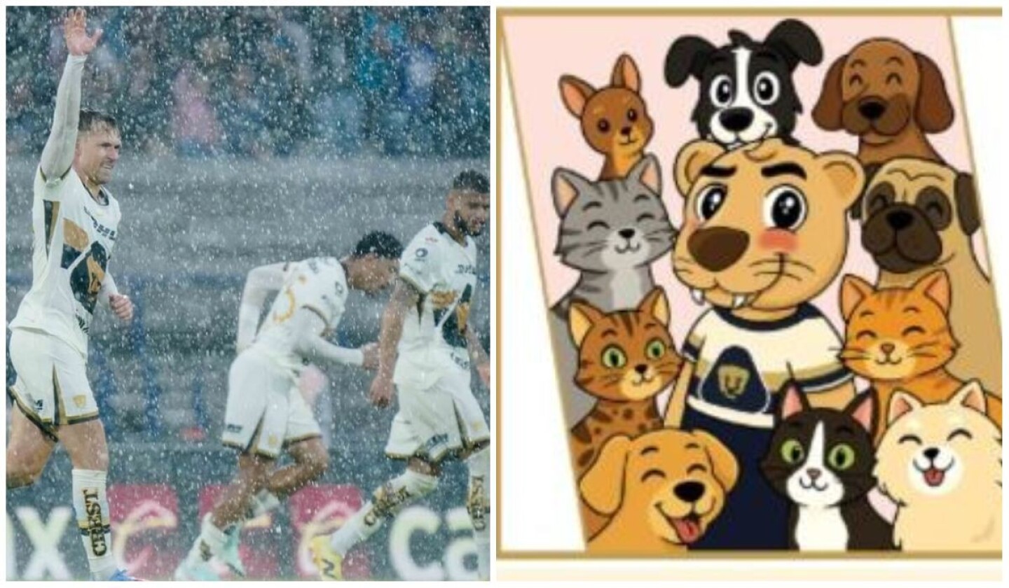 pumas-adopta-un-amigo.jpg