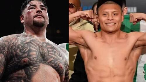 pitbull cruz y andy ruiz