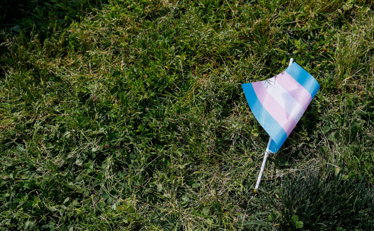 infancias-trans-afp